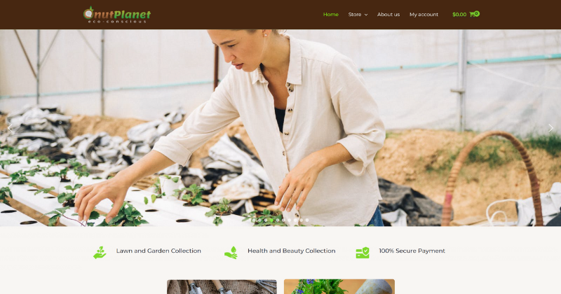 neoblaze website